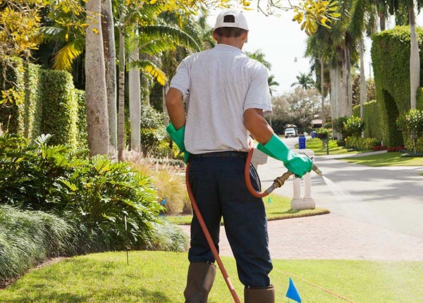 About Kimball MN Pest Control Pros